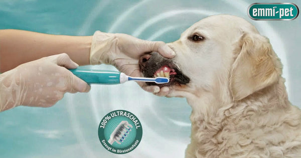 Ultraslyds Tandbørste din Hund Butik