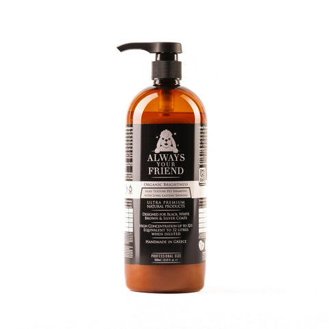 Always Your Friend - Organic Brightness Shampoo