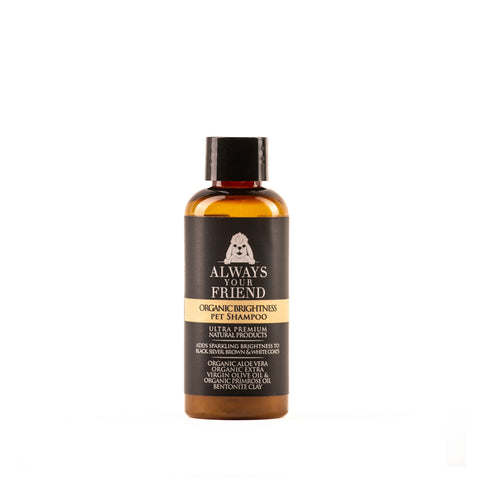 Always Your Friend - Organic Brightness Shampoo