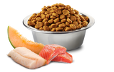 N&D Ocean Salmon Cod&Cantal
