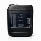 Jean Peau Romance Shampoo