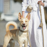 Premium Læder hundesnor Beige