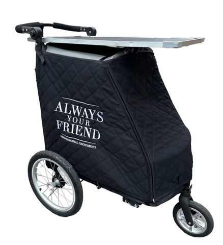 Always Your Friend Trolley Case