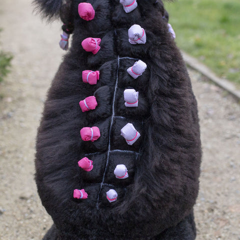 Millor Dog Re-fill Lilla wrapping papir