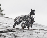 PAIKKA RECOVERY REGNFRAKKE Hund, CAMO